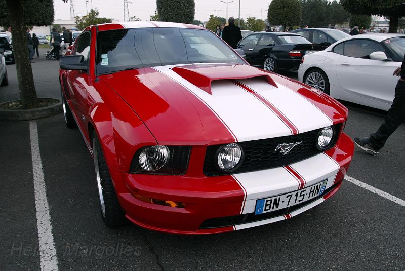 B45D0287.jpg - Ford Mustang Shelby