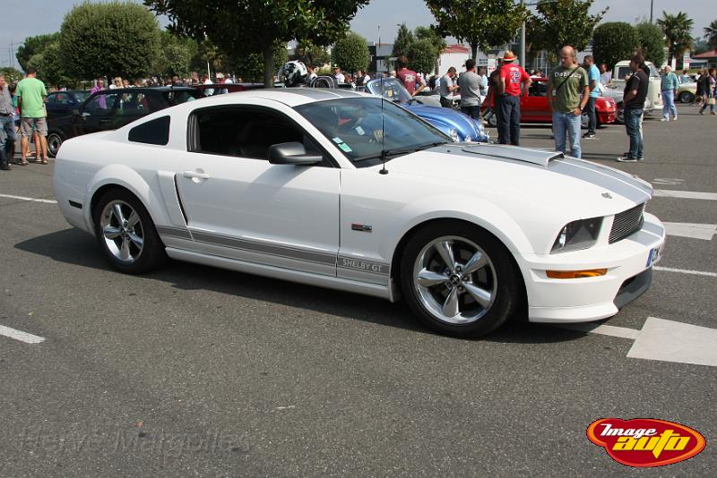 IMG_3175.JPG - Ford Mustang Shelby GT