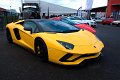 Expo_31